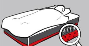 Bedcare Plus IAB4